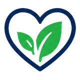 SEO for Health & Wellness icon