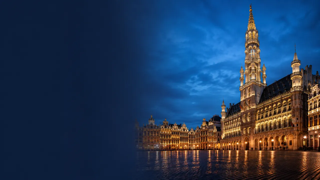 Cityscape of Brussels, Belgium for local SEO services