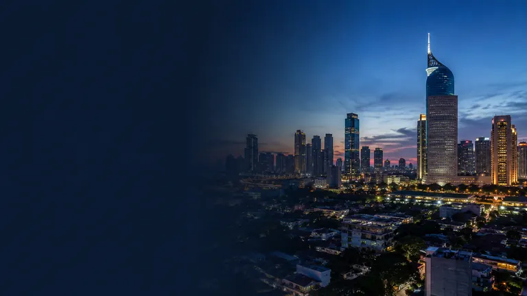 SEO services in Indonesia
