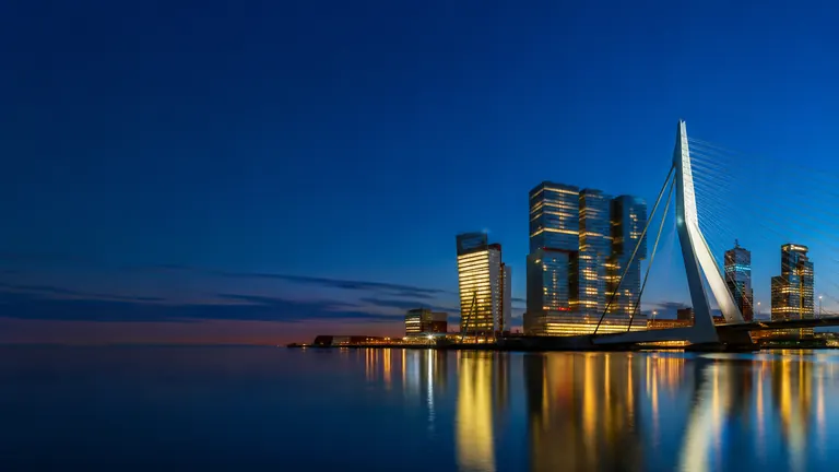 SEO services in Netherlands
